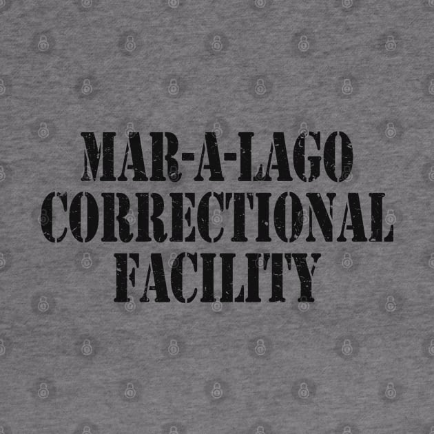 Mar a Lago Correctional Facility by Etopix